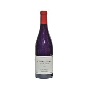Vino Ribeira Sacra Castro Candaz Finca el Curvado