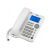 SPC 3608B Telefono sobremesa cable Office ID blanco