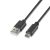 AISENS A107-0051 Cable Usb 2.0 a tipoC 3A 1mts negro